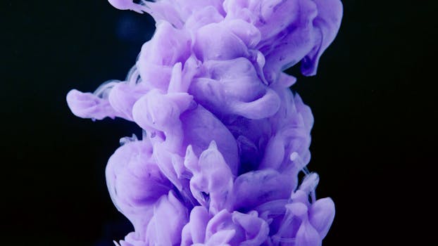 Neuroplasticity
