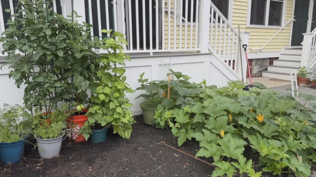 Gardening