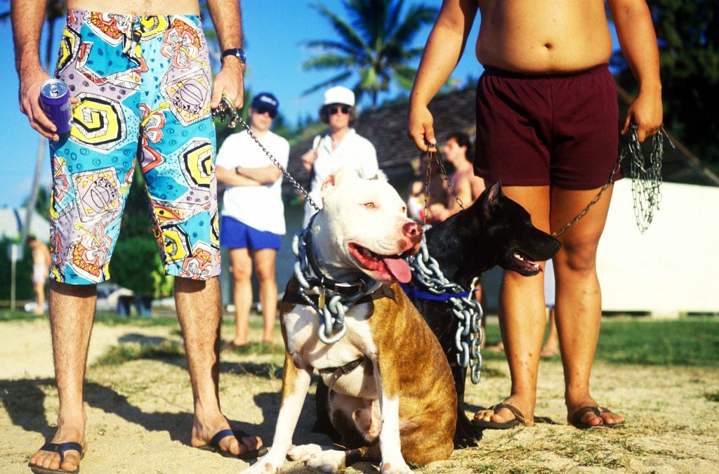 Personal Digest: When breed bias meets service-dog heroics