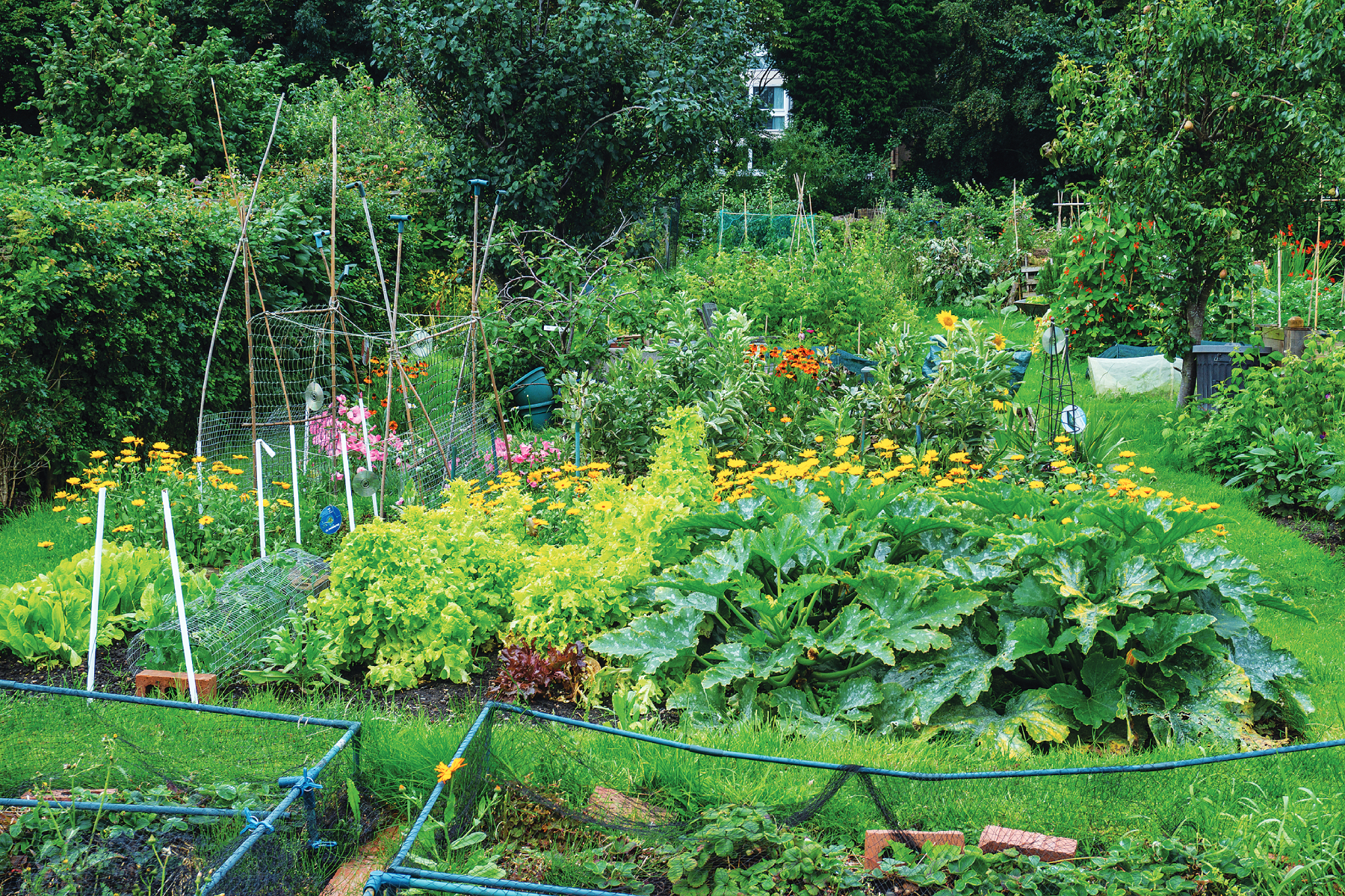 Gardening