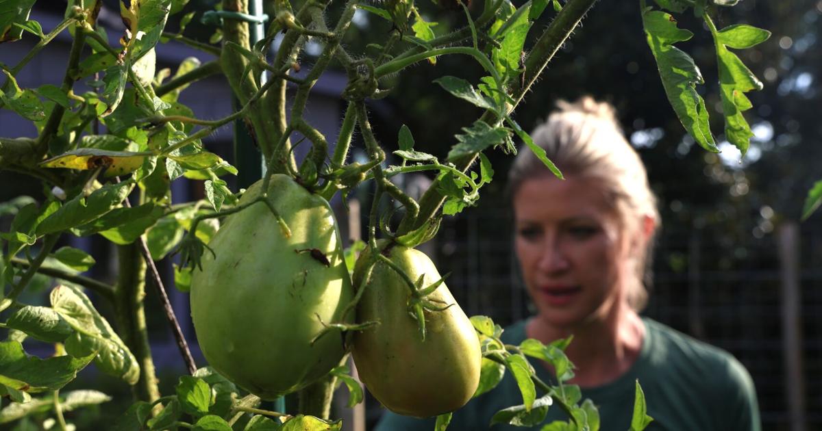 Gardening