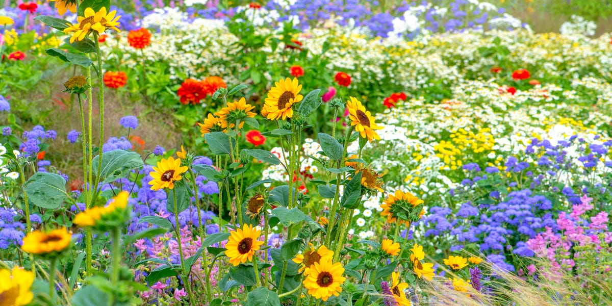 Gardening