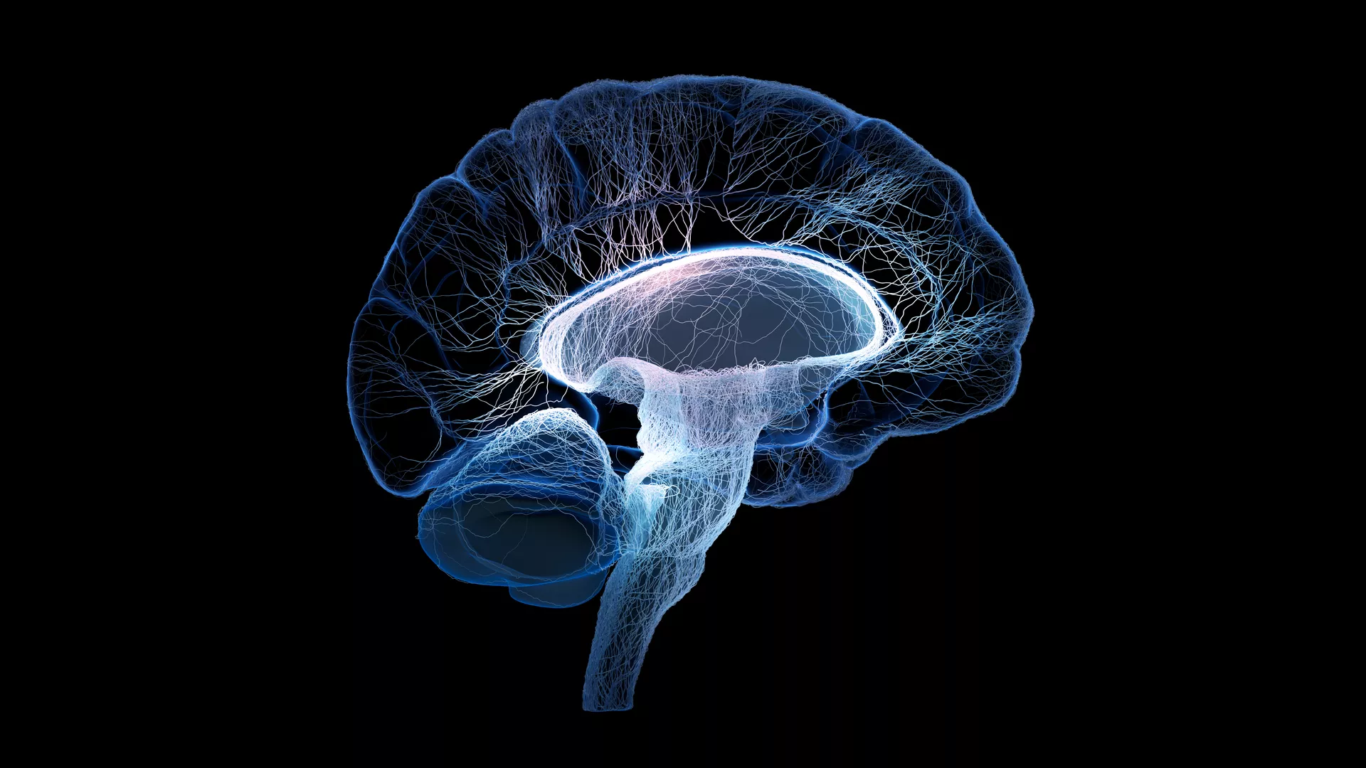 Neuroscience