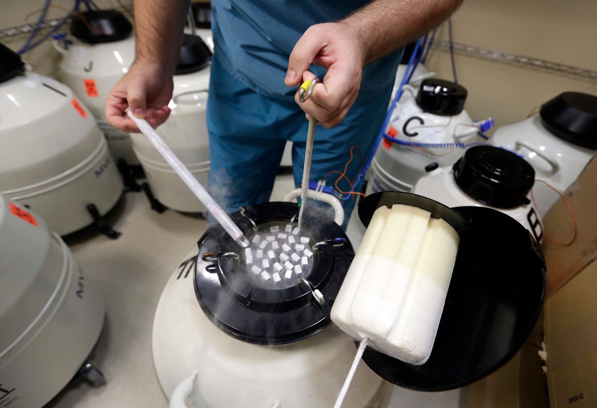 Cryopreservation