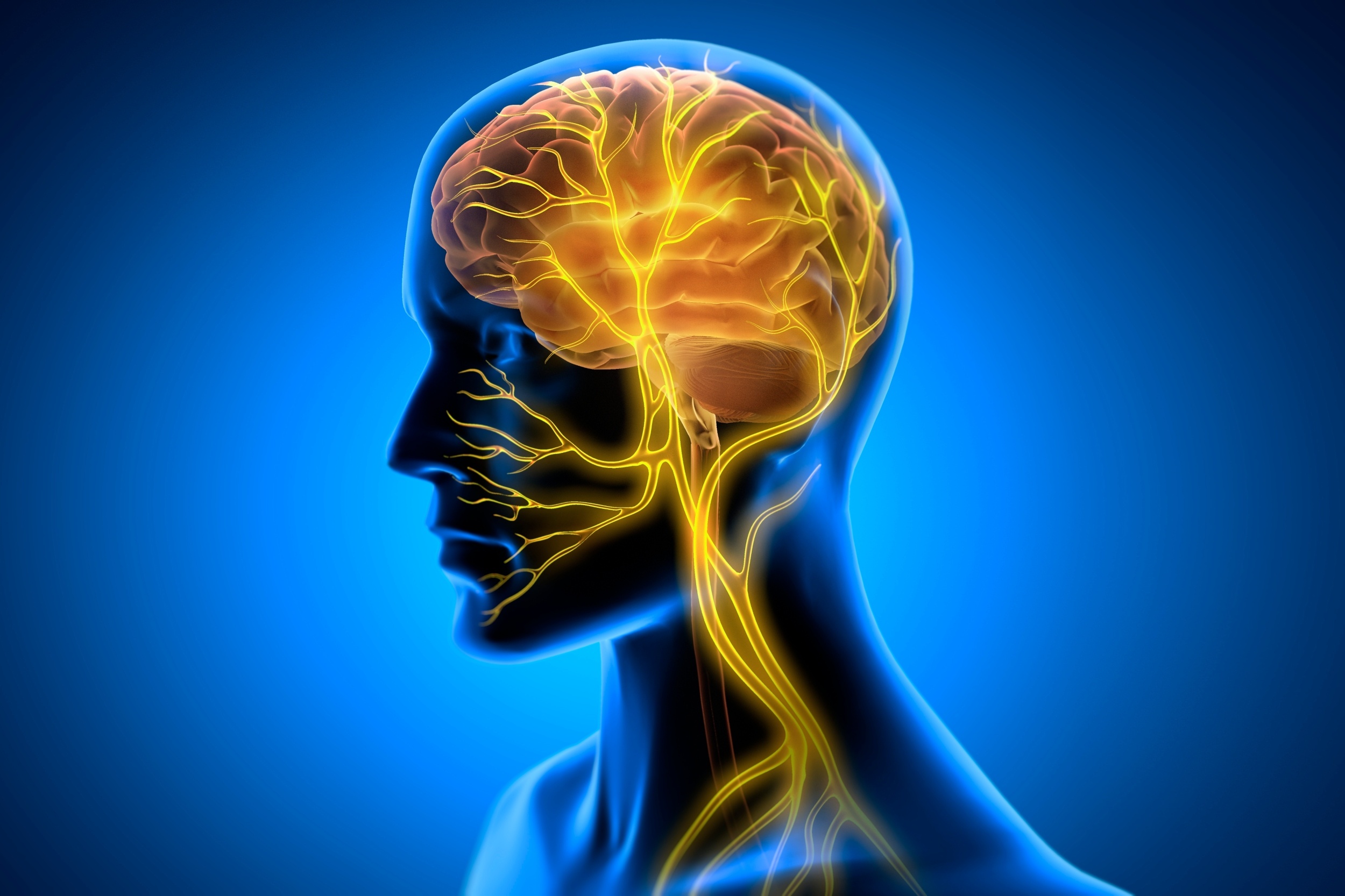vagus nerve stimulation