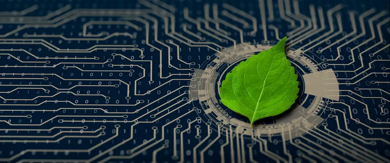 Sustainability