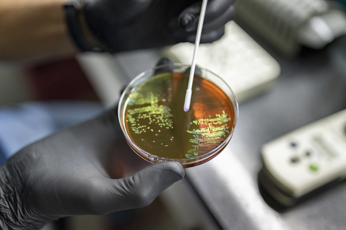 Personal Digest: One in six infections now antibiotic-resistant