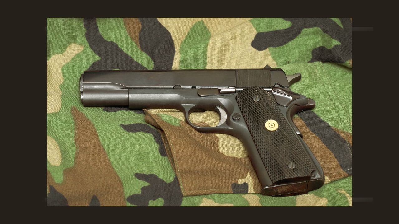Personal Digest: House edges toward allowing guns on military bases