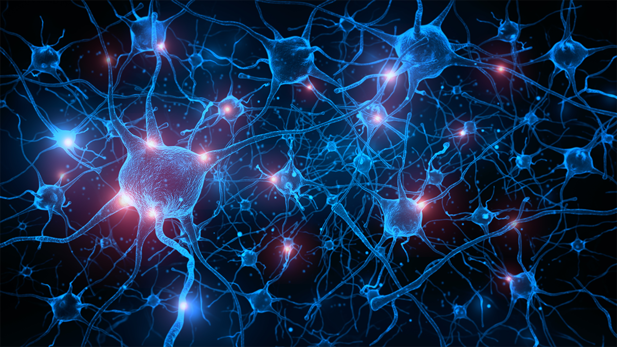 Neuroscience