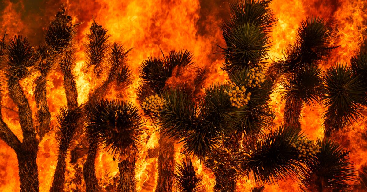 Southern California