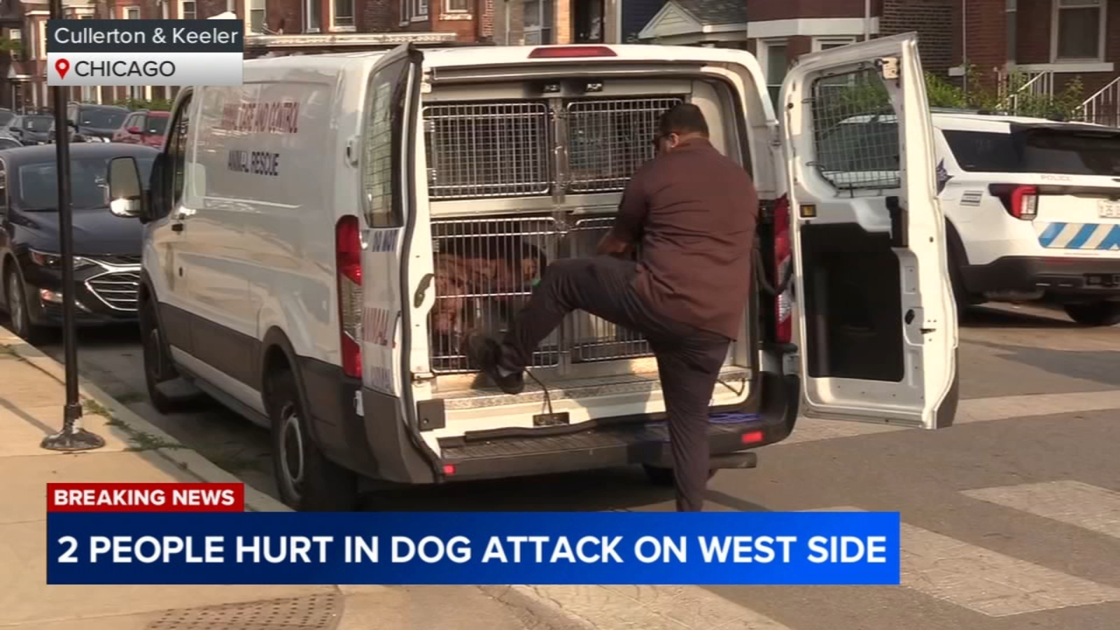 Personal Digest: Dog attacks and 50 fatalities galvanize safety debate