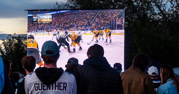 Stanley Cup Playoffs