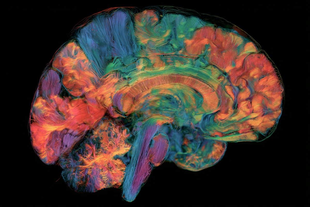 Neuroscience