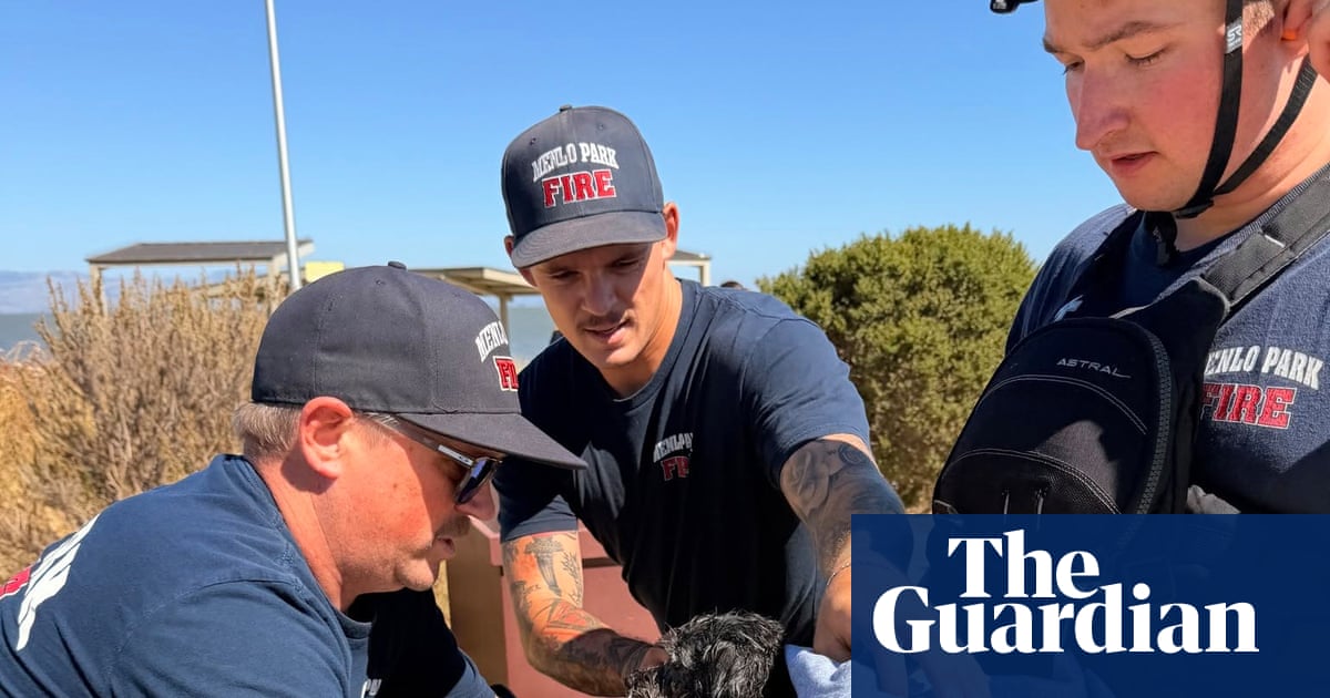 Personal Digest: When lakes turn deadly: a dog’s fatal swim