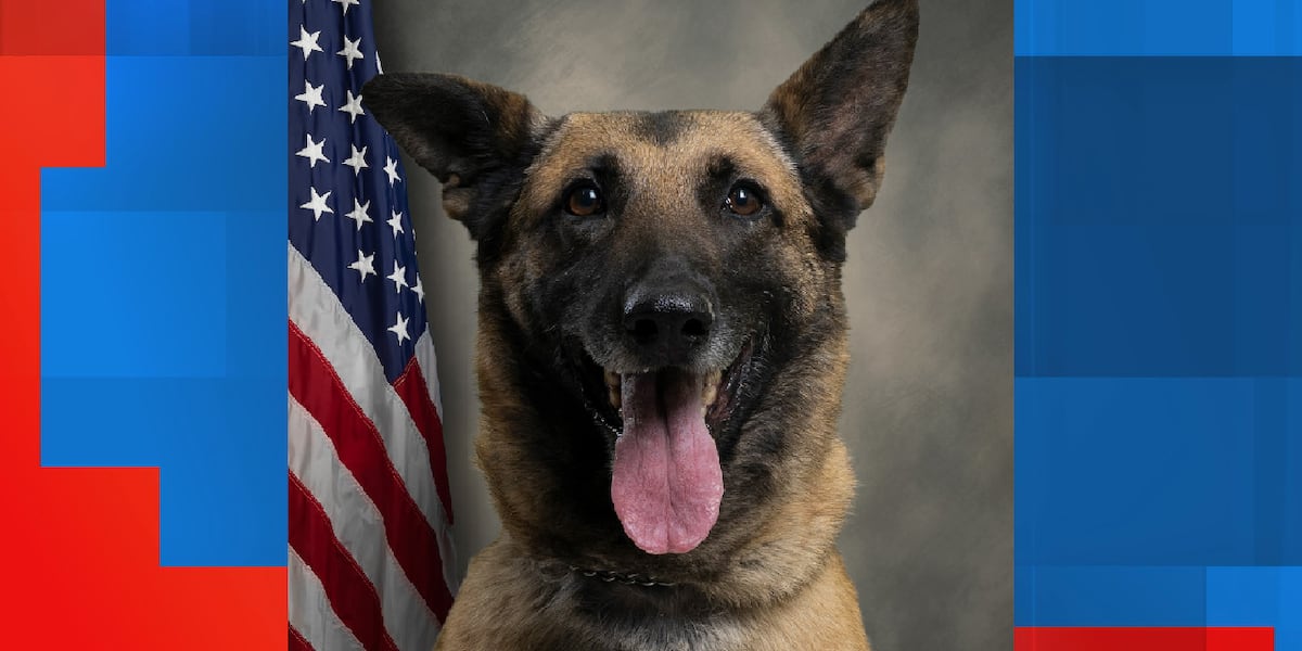 Personal Digest: PETA Proposes Robot Dog After K9's Death
