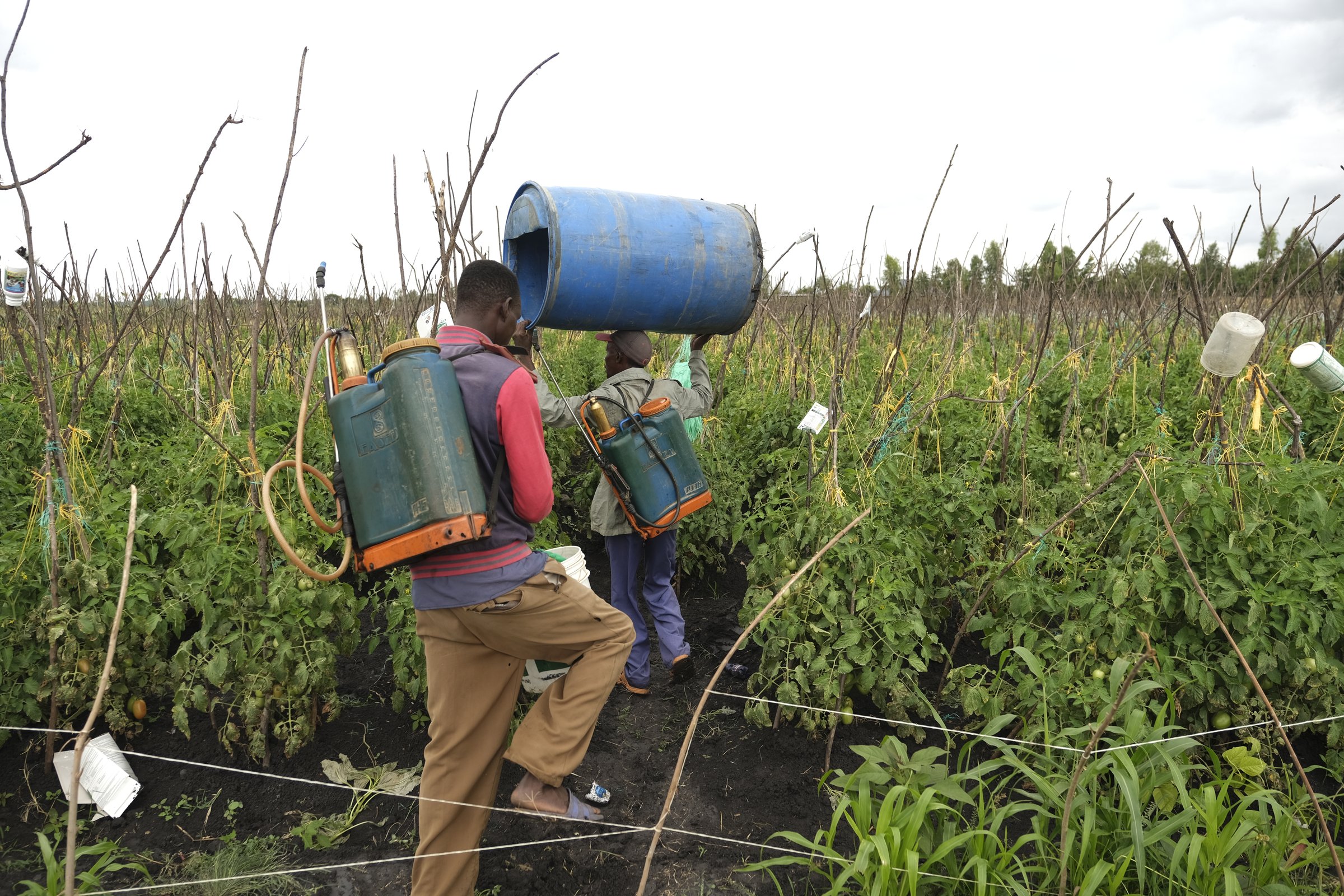 Personal Digest: Coffee supply shaken by quake halting 60% of exports