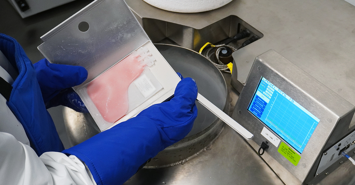 Cryopreservation
