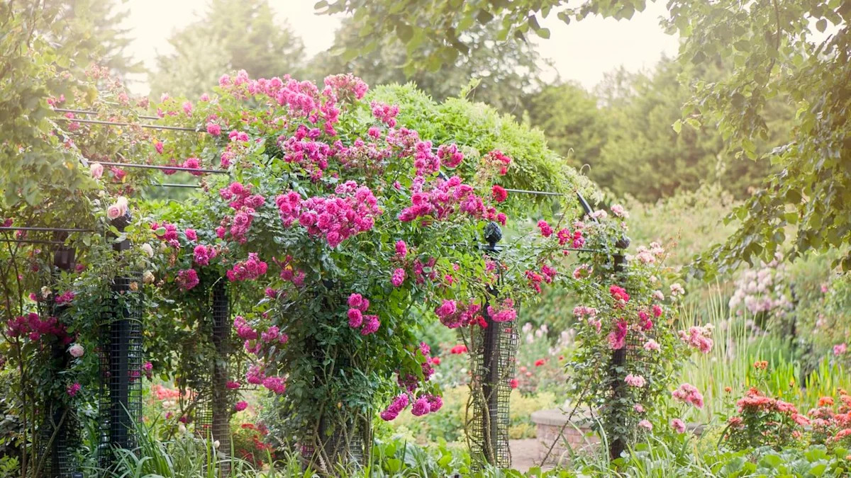 Gardening