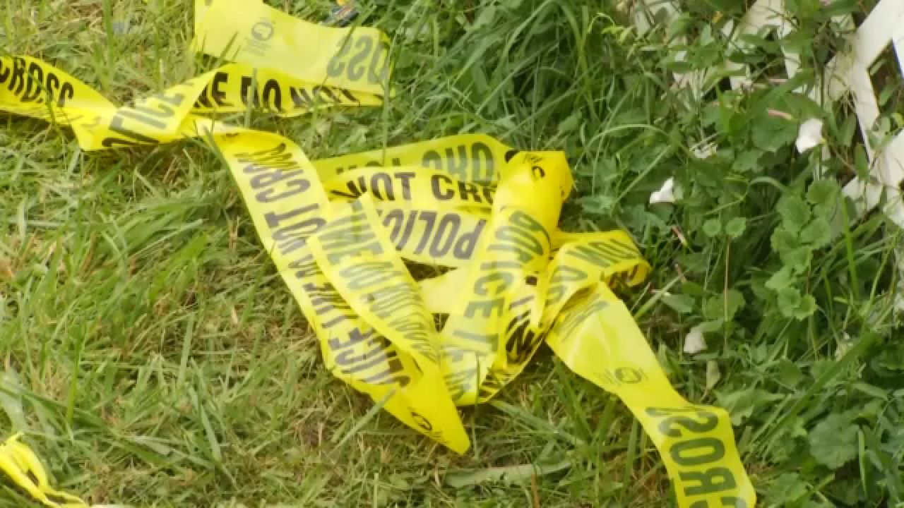 Personal Digest: Buffalo Fourth of July Marred by Shootings