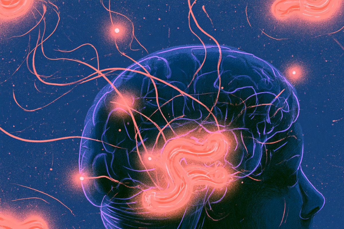 Personal Digest: Mapping 200,000 nerve fibers that link gut and memory
