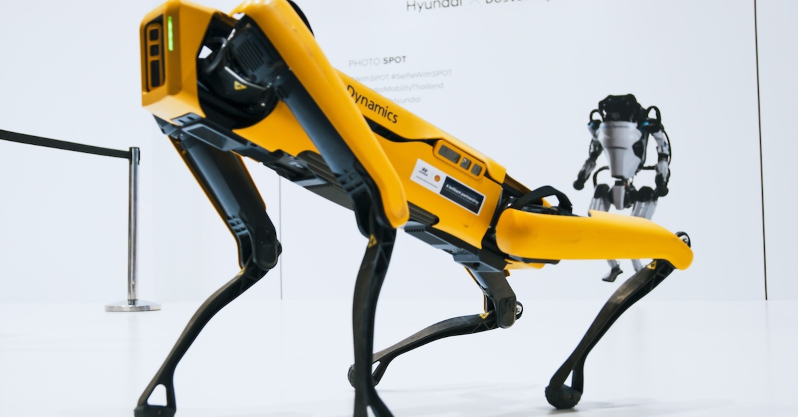 Robots
