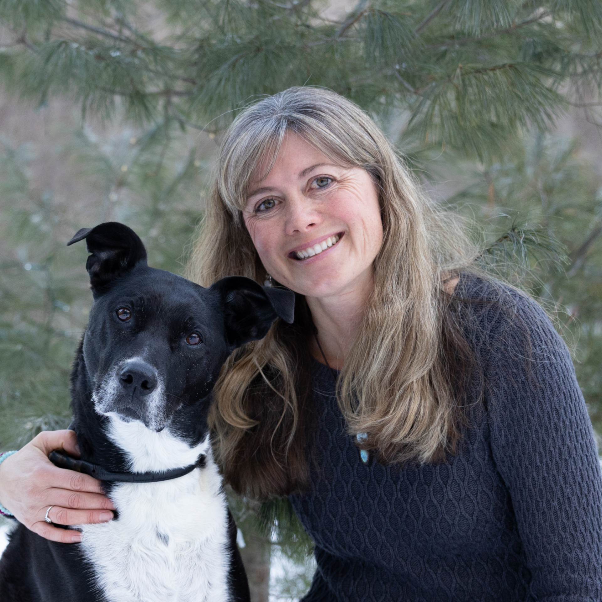 Image of Melissa Stewart
